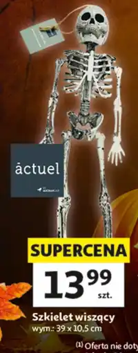 Auchan Szkielet Actuel oferta