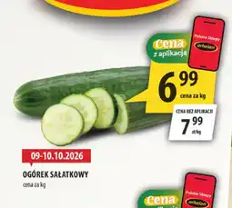 Arhelan Ogórki sałatkowe oferta