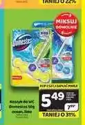 Delfin Koszyk do WC Domestos ocean oferta