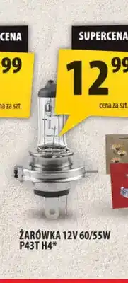 Arhelan Żarówka P43T H4 oferta