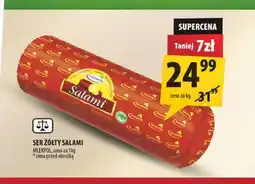 Arhelan Ser żółty salami Mlekpol oferta