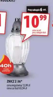Arhelan Znicz Z-36 oferta