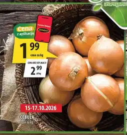 Arhelan Cebula oferta