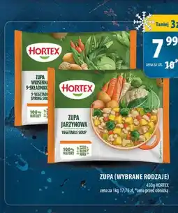 Arhelan Zupa jarzynowa Hortex oferta