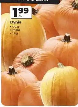 Odido Dynia oferta