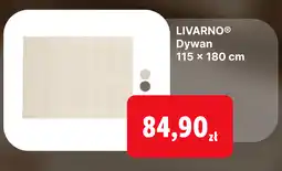 Lidl Livarno Dywan oferta