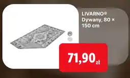 Lidl Livarno Dywany 80 x 150 cm oferta