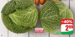 Dino Kapusta kiszona oferta