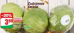 Dino Sałata lodowa oferta