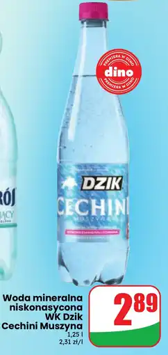 Dino Woda mineralna niskonasycona WK Dzik Cechini Muszyna oferta