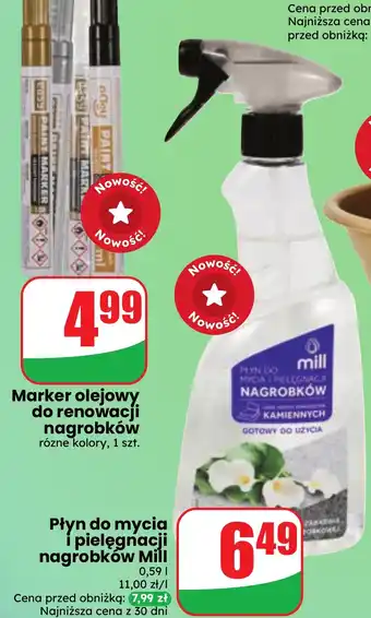 Dino Płyn do mycia i pielęgnacji nagrobków Mill oferta