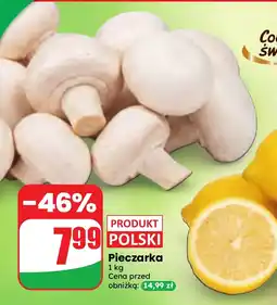 Dino Pieczarka oferta