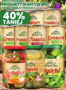 Dino Warzyw moc Sałatka warzywna oferta
