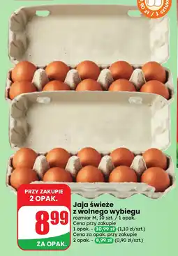Dino Jaja świeże z wolnego wybiegu oferta