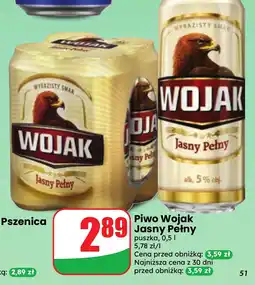 Dino Piwo Wojak Jasny Pełny oferta