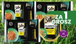Dino Sheba Classics oferta