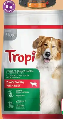 Dino Sucha karma dla psa z wolowina Tropi oferta