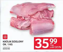 Selgros Królik oferta