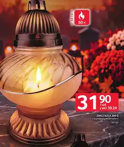Selgros Znicz oferta