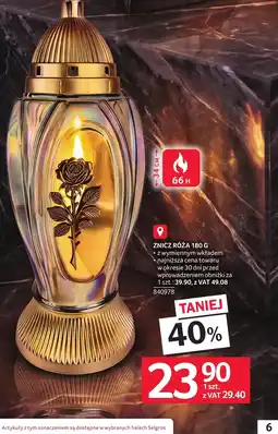 Selgros Znicz Selgros oferta