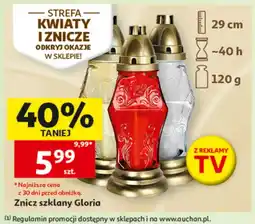 Auchan Znicz oferta