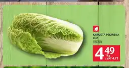 Selgros Kapusta pekińska oferta