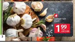 Selgros Czosnek oferta