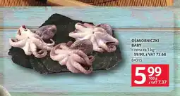 Selgros Ośmiorniczki baby oferta