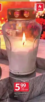 Selgros Znicz pucharek zalewany oferta