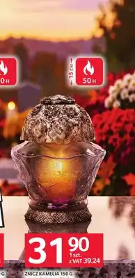 Selgros Znicz Kamelia z wymiennym wkładem oferta