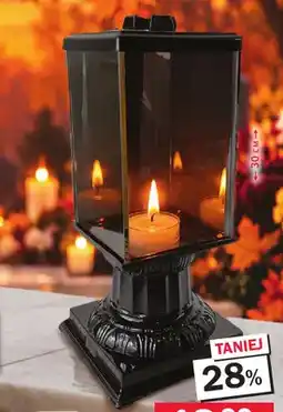 Selgros Lampion kolumna oferta