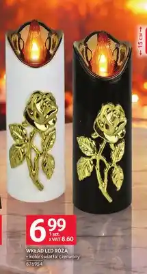 Selgros Wkład LED Róża oferta