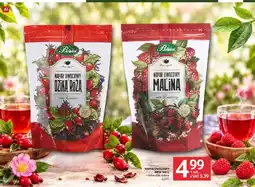 Selgros Napar owocowy Bifix dzika róża oferta