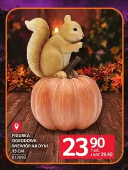 Selgros Figurka ogrodowa wiewiór na dyni 15 cm oferta