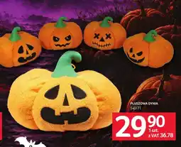 Selgros Pluszowa dynia oferta
