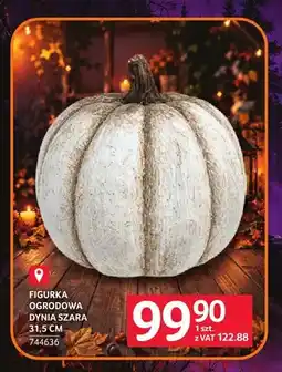 Selgros Figurka ogrodowa dynia szara 31,5 cm oferta