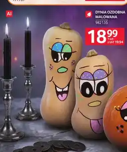 Selgros Dynia ozdobna malowana oferta