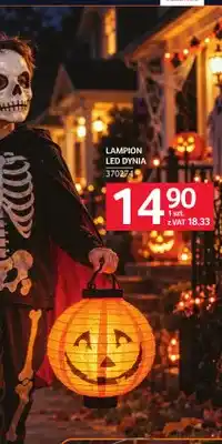 Selgros Lampion LED dynia oferta