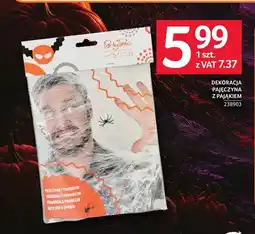 Selgros Dekoracja pajęczyna z pająkiem Party Time oferta
