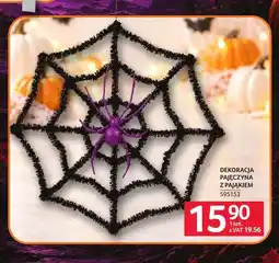 Selgros Dekoracja pajęczyna z pająkiem oferta