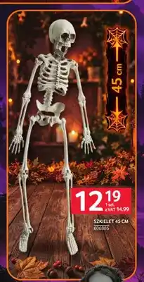 Selgros Szkielet 45 cm oferta