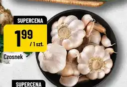 Polomarket Czosnek oferta