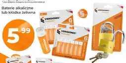 Polomarket Baterie alkaliczne Vergionic oferta