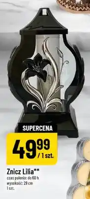 Polomarket Znicz Lilia oferta