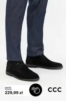 CCC Trzewiki Lasocki oferta