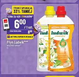 Polomarket Płyn uniwersalny Ludwik oferta