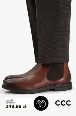 CCC Sztyblety Lasocki oferta