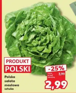 Kaufland Polska sałata masłowa sztuka oferta
