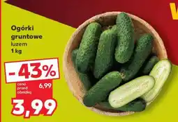 Kaufland Ogórki gruntowe luzem 1 kg oferta