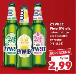Kaufland Żywiec oferta